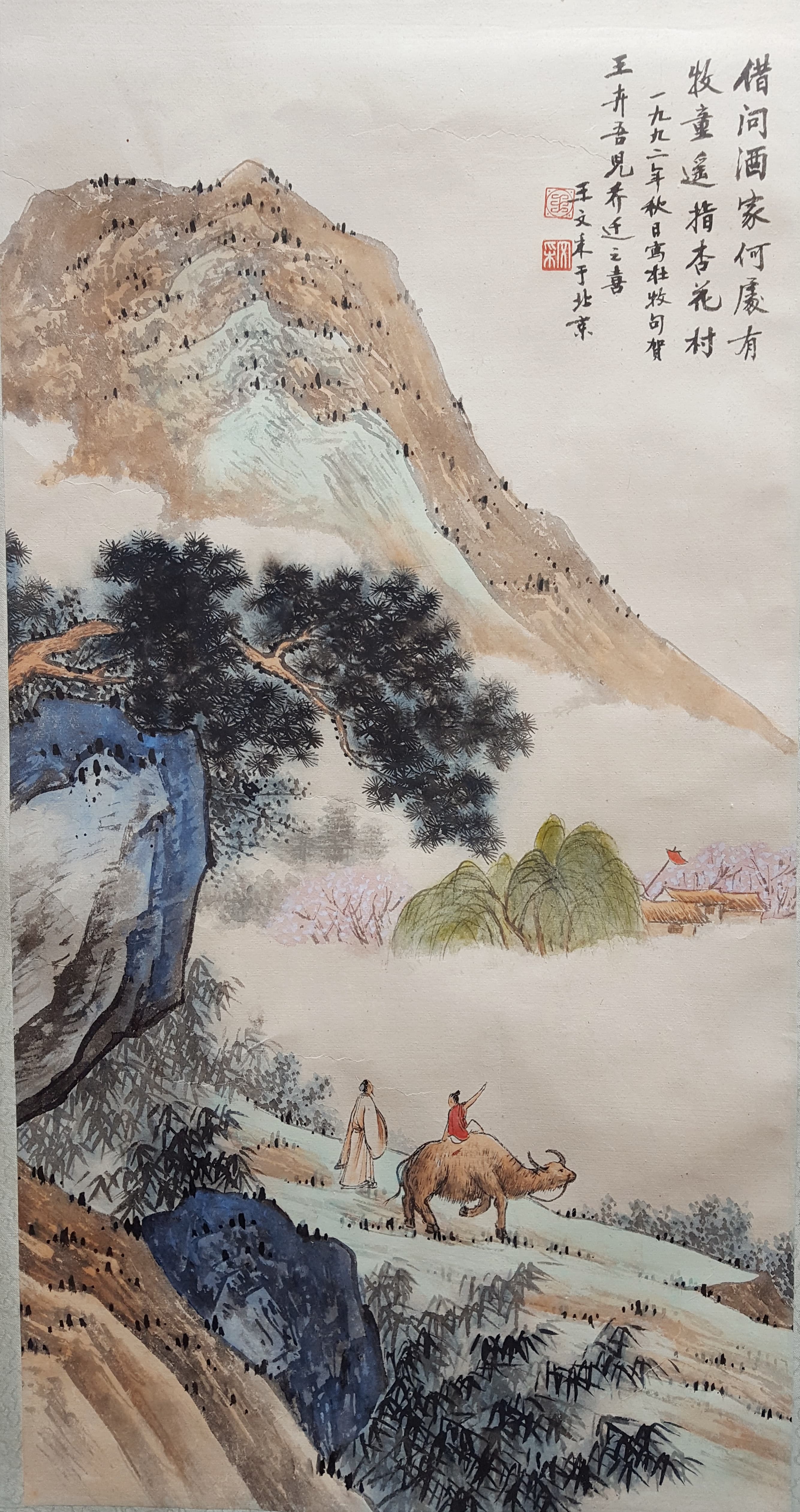 Botanical Illustration 7