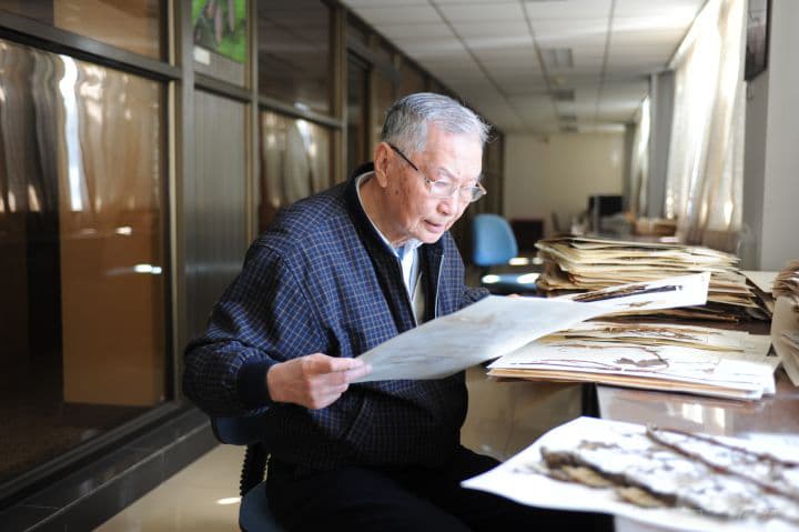 Unassuming Resilience